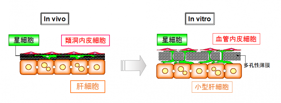 図1