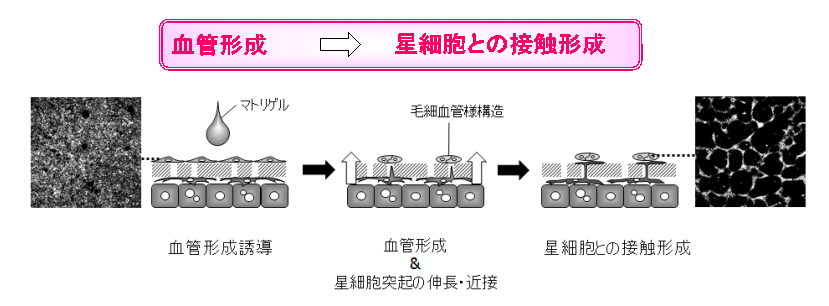 図5