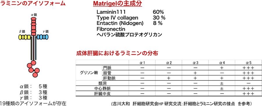 図8