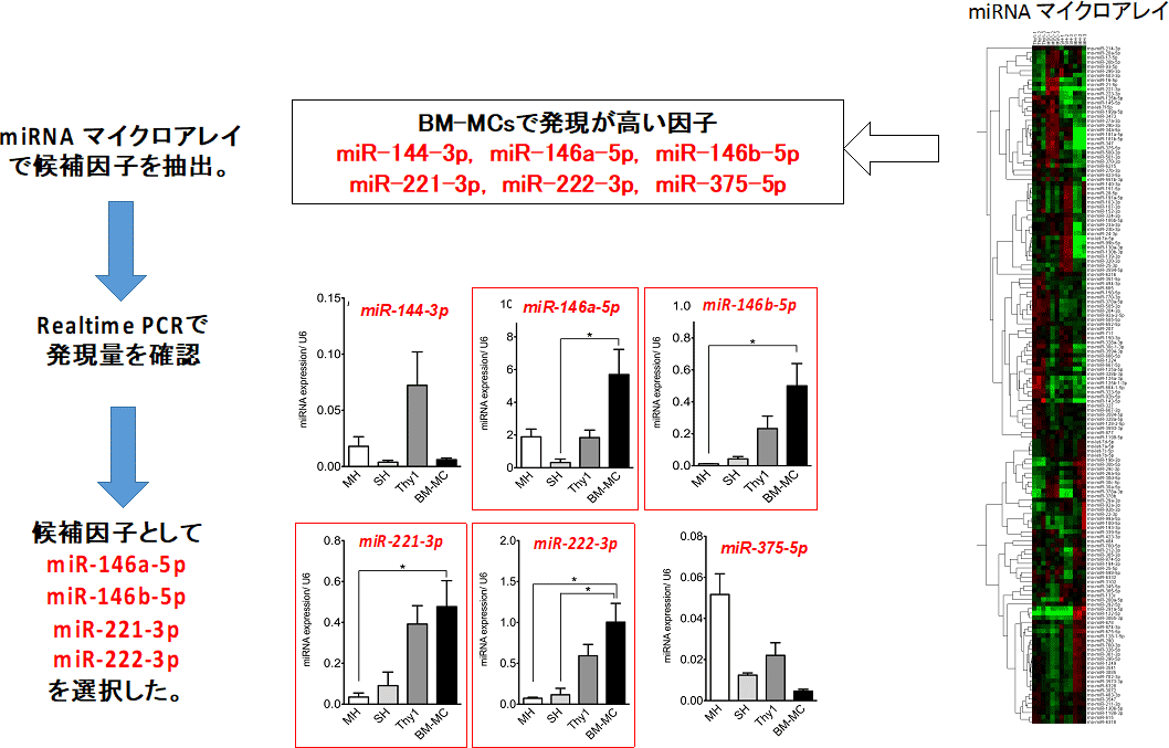 図17