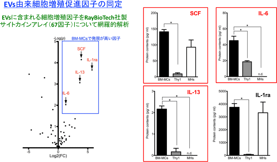 図19