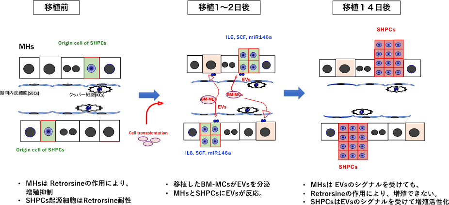 図24